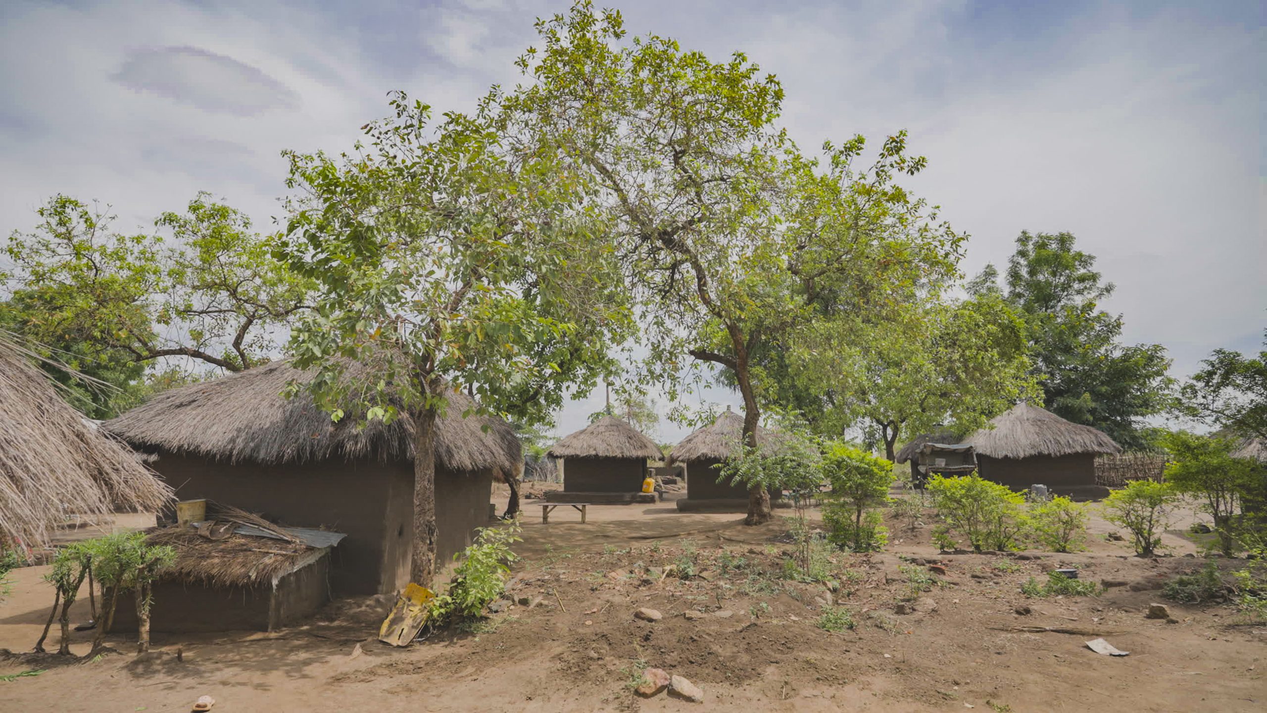 Bidibidi settlement Uganda